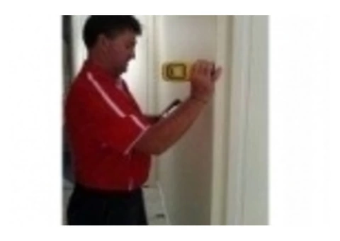 Afraid Of Termite Infestation And Need To Hire Inspection Services To Be Sure? - 2/2