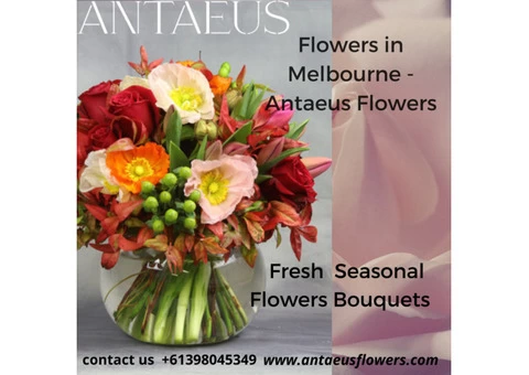Best Flower in Melbourne - Online flower