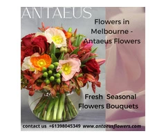 Best Flower in Melbourne - Online flower