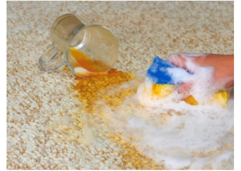 Need to restore your water damaged carpets?