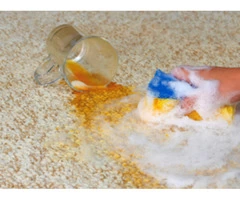 Need to restore your water damaged carpets?