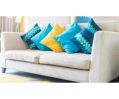 Pest Control Doctor - Borer Control Melbourne, Get same day pest control services in Melbourne