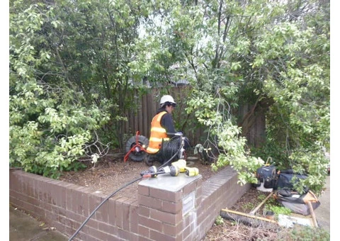 Reed Plumbing and Drainage Solutions - 8/8