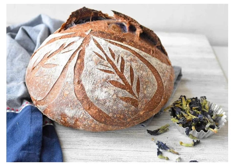 Big Belly Café Restaurant Goodna Menu, QLD - 5% off