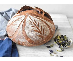 Big Belly Café Restaurant Goodna Menu, QLD - 5% off