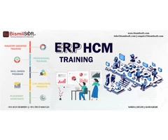ERP HCM Training in Noida