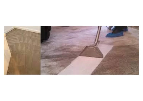 Best Carpet Cleaning Sydney - 5/8