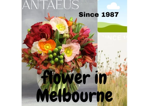 The Best Stop Shop of Flowers in Melbourne - Antaeus Flowers
