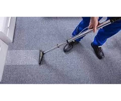 Carpet Cleaning Canada Bay