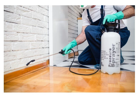 ANCHOR PEST CONTROL MARCUS HILL - 2/2