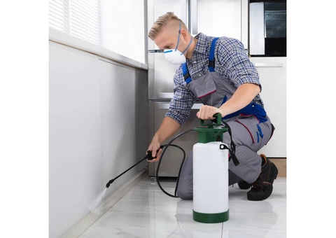 ANCHOR PEST CONTROL LYSTERFIELD