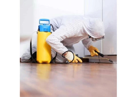 ANCHOR PEST CONTROL LYSTERFIELD - 2/2