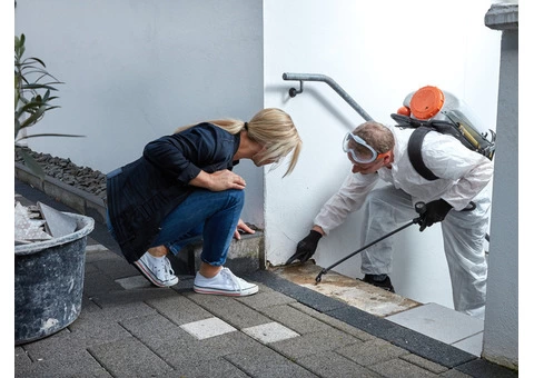 ANCHOR PEST CONTROL LORNE