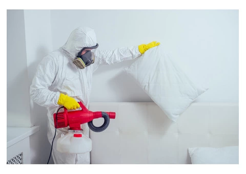 ANCHOR PEST CONTROL LONGLEA