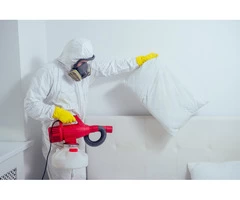 ANCHOR PEST CONTROL LONGLEA