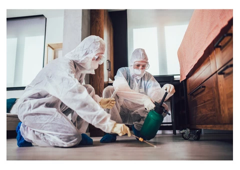 ANCHOR PEST CONTROL LONGLEA - 2/2