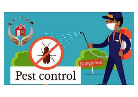 Cockroach Control Sunshine Coast