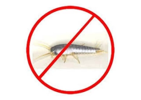 Silverfish Control Sunshine Coast