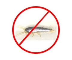 Silverfish Control Sunshine Coast
