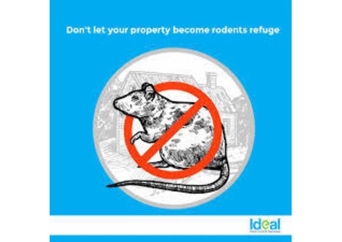 Rodent Control Sunshine Coast