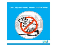 Rodent Control Sunshine Coast