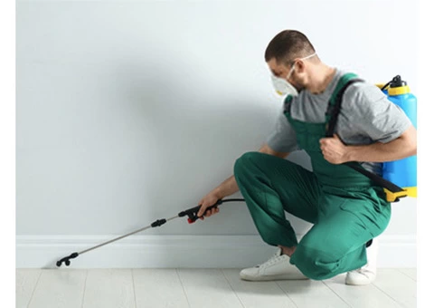Pest Control In Saint Helena | Magic Pest Control Saint Helena