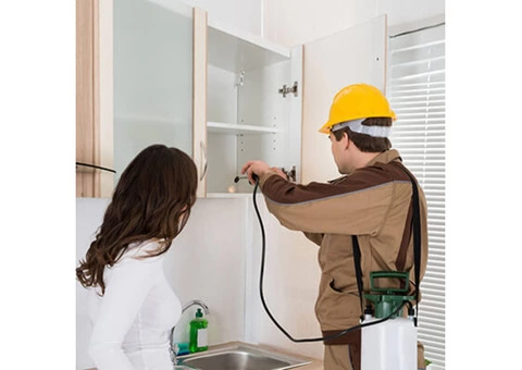 Spider Control Treatment & Removal in Melbourne at low cost - Pest Control Doctor