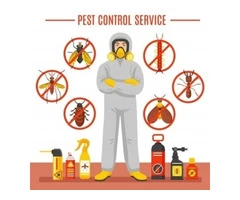Pest Control Bracken Ridge