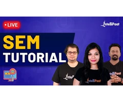 Search Engine Marketing (SEM): An Overview for Beginners | Intellipaat