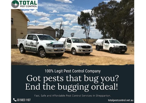 63 Rodent Facts You Should Know – Coming Straight from rodent removal Shepparton Experts - 1/3