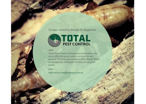 63 Rodent Facts You Should Know – Coming Straight from rodent removal Shepparton Experts - 2/3
