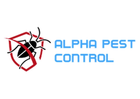 Pest Control In Amor | Alpha Pest Control Amor