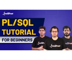 PL SQL Tutorial | Oracle PL SQL Tutorial For Beginner | PL SQL Training | Intellipaat
