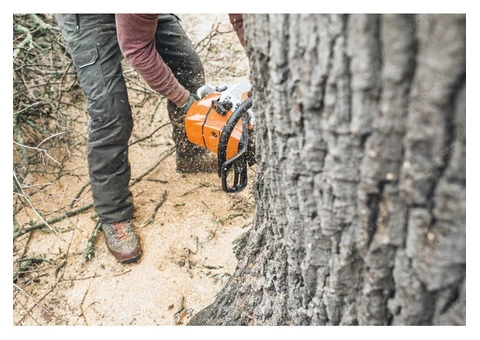 Reliable Tree Stump and Root Removal in Clayton - Stump Removal Malvern