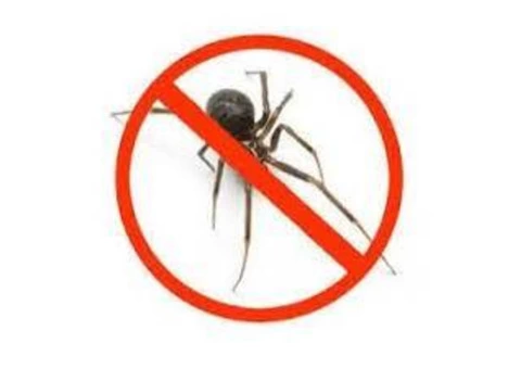 Spider Control Redland