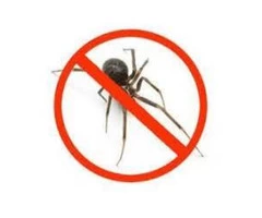 Spider Control Redland