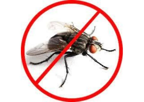 Flies Control Redland