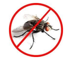 Flies Control Redland