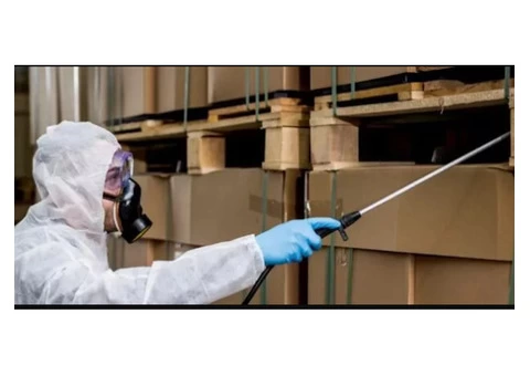 Are Bed Bugs Treatment in Melbourne Cost-Effective? - 2/2