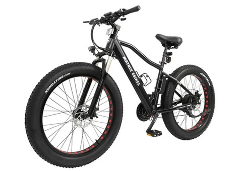Want to Buy a FAT Electric Bike?