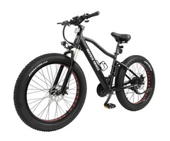Want to Buy a FAT Electric Bike?