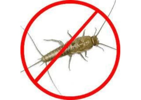 Silverfish Control Logan