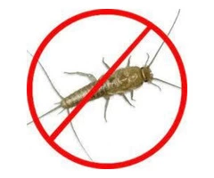 Silverfish Control Logan