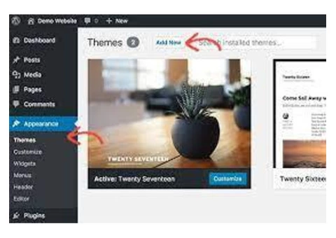 Are you looking for a  WordPress designer  ?