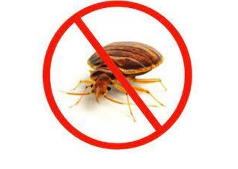 Bedbugs Control Logan