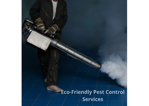 Best Pest Control Services in Glen Iris