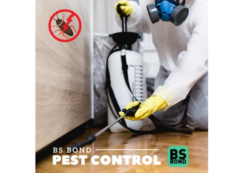 Pest Control Service in Brisbane | BS Bond Cleaning