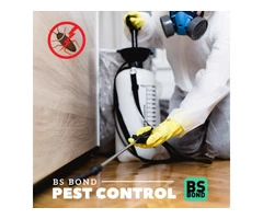 Pest Control Service in Brisbane | BS Bond Cleaning