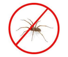 Spider Control Logan