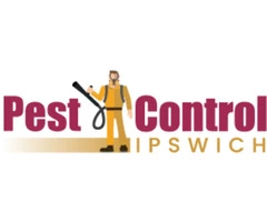 Borer Control Ipswich